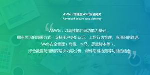 ASWG 增强型安全网关